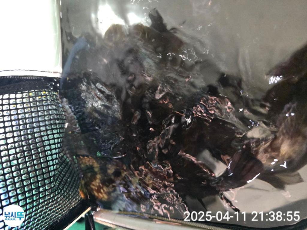 F2657257OE.jpg