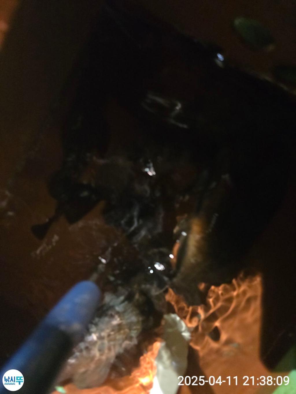 F2657259BI.jpg