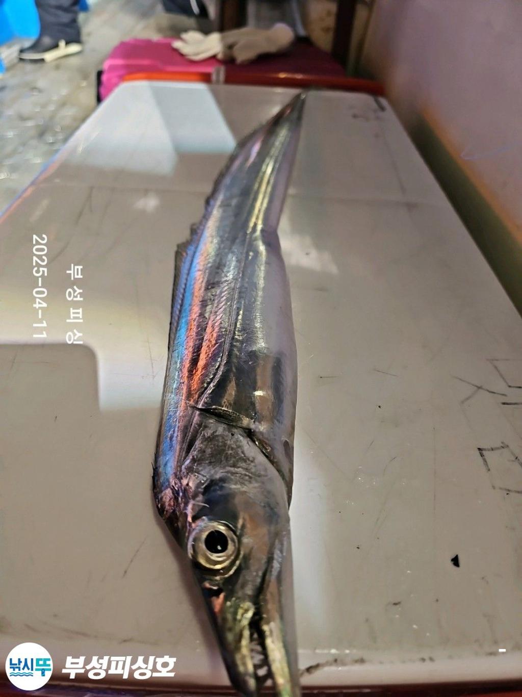 F2657437CH.jpg