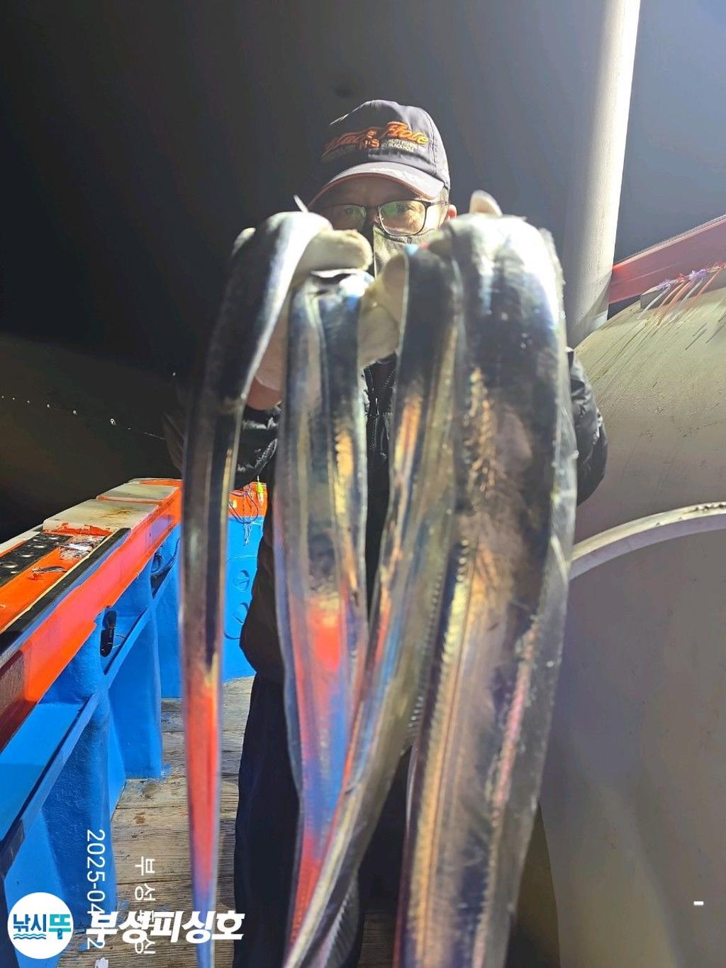 F2657439SD.jpg
