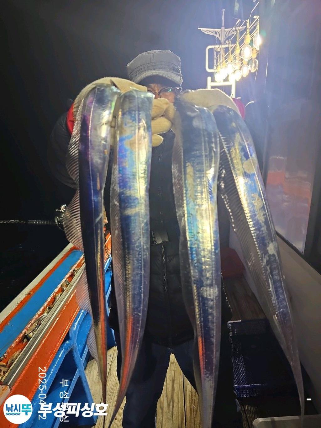 F265744771.jpg