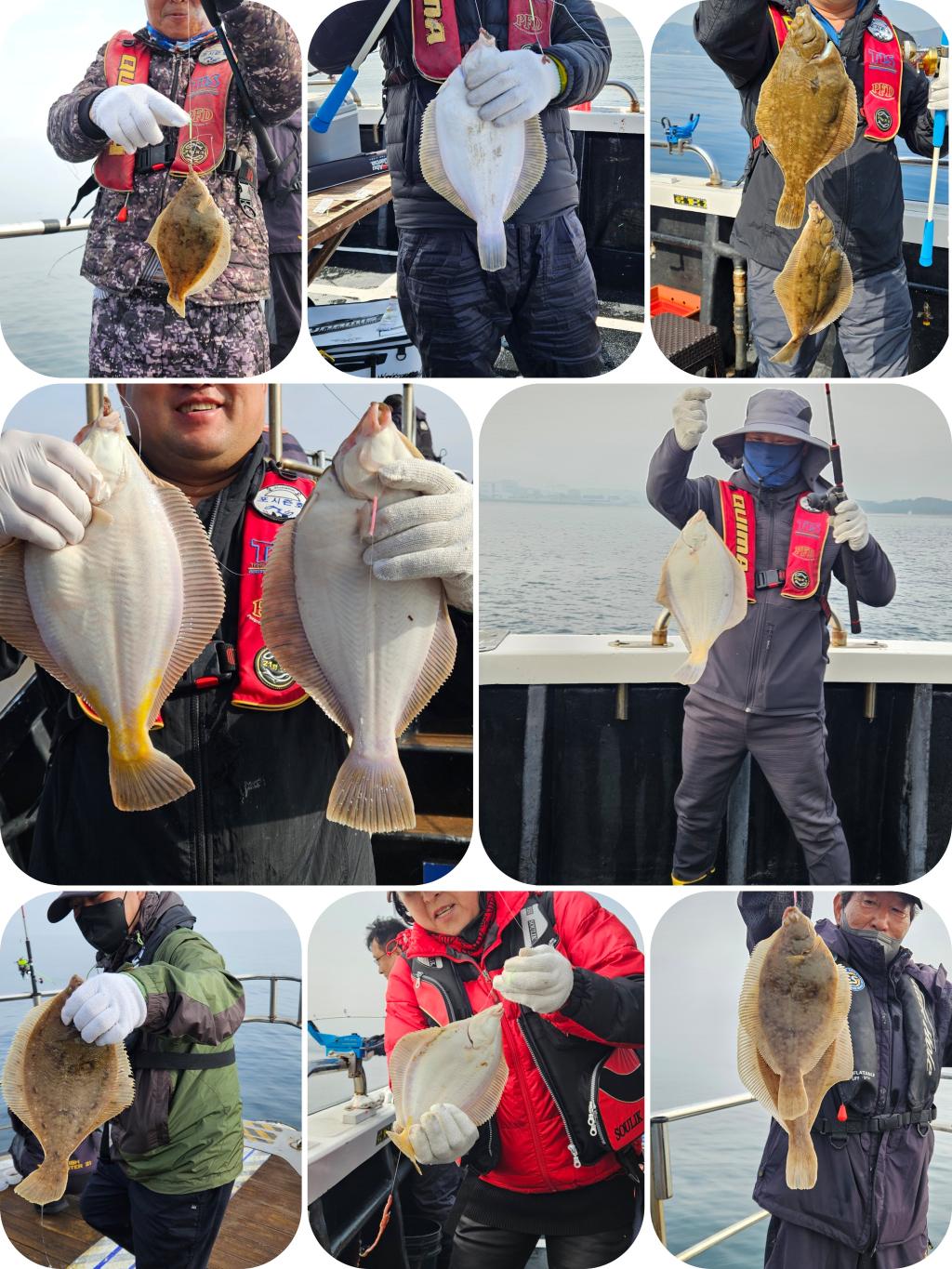 낚시뚜,볼락,열기,포항여남항,포항포시즌호,낚시뚜7