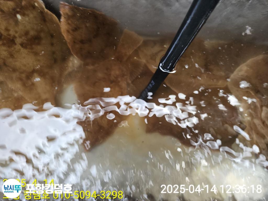 F2658025MA.jpg