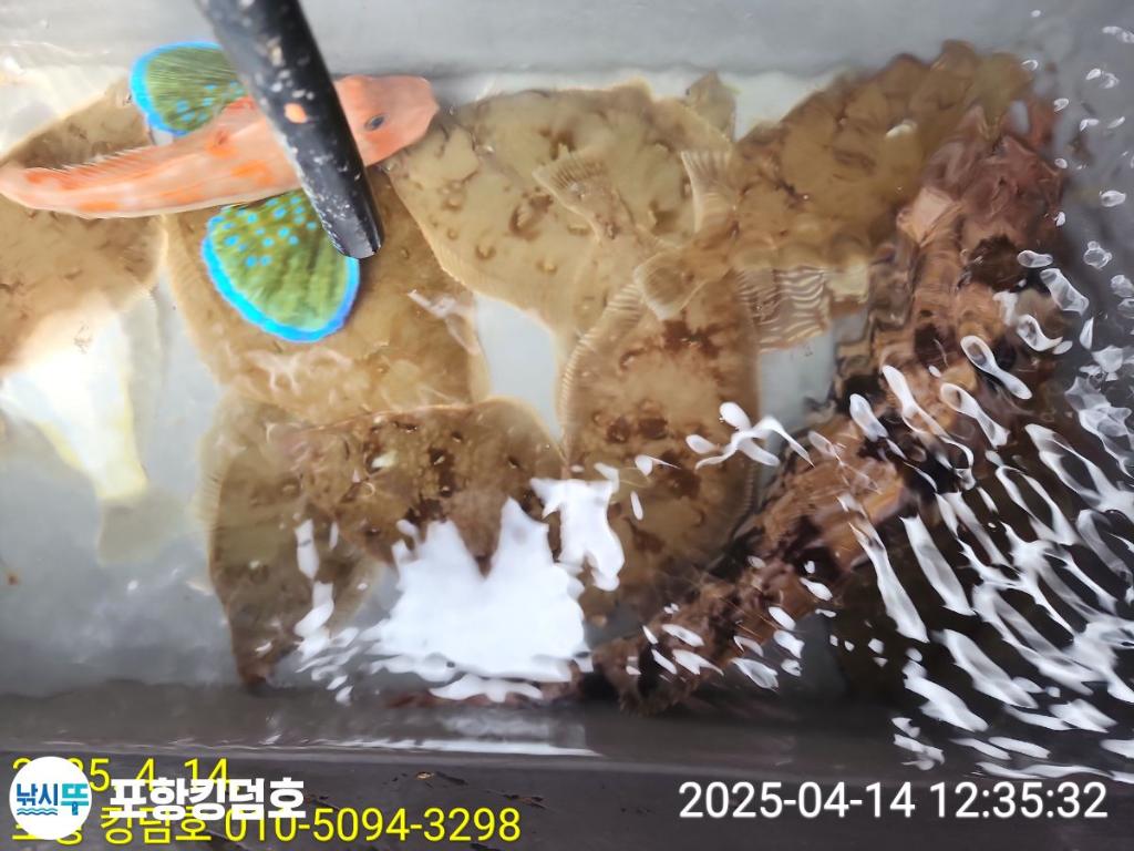 F2658029CA.jpg