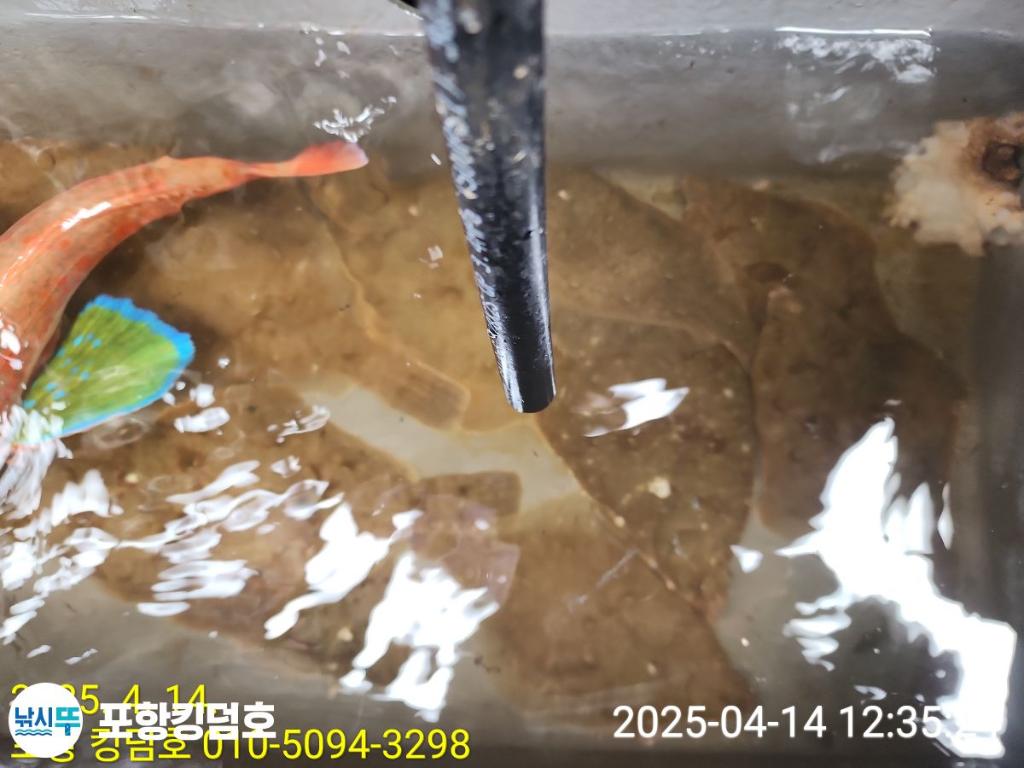 F2658030QP.jpg