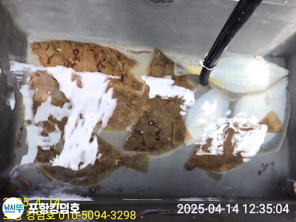F26580322P.jpg