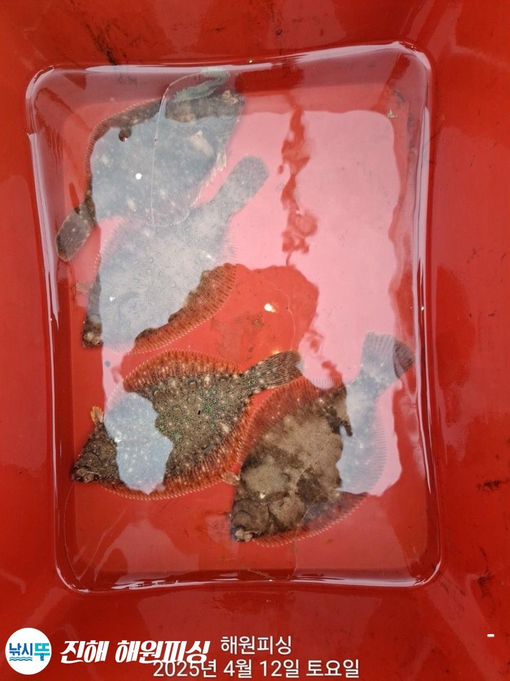 F26583860E.jpg