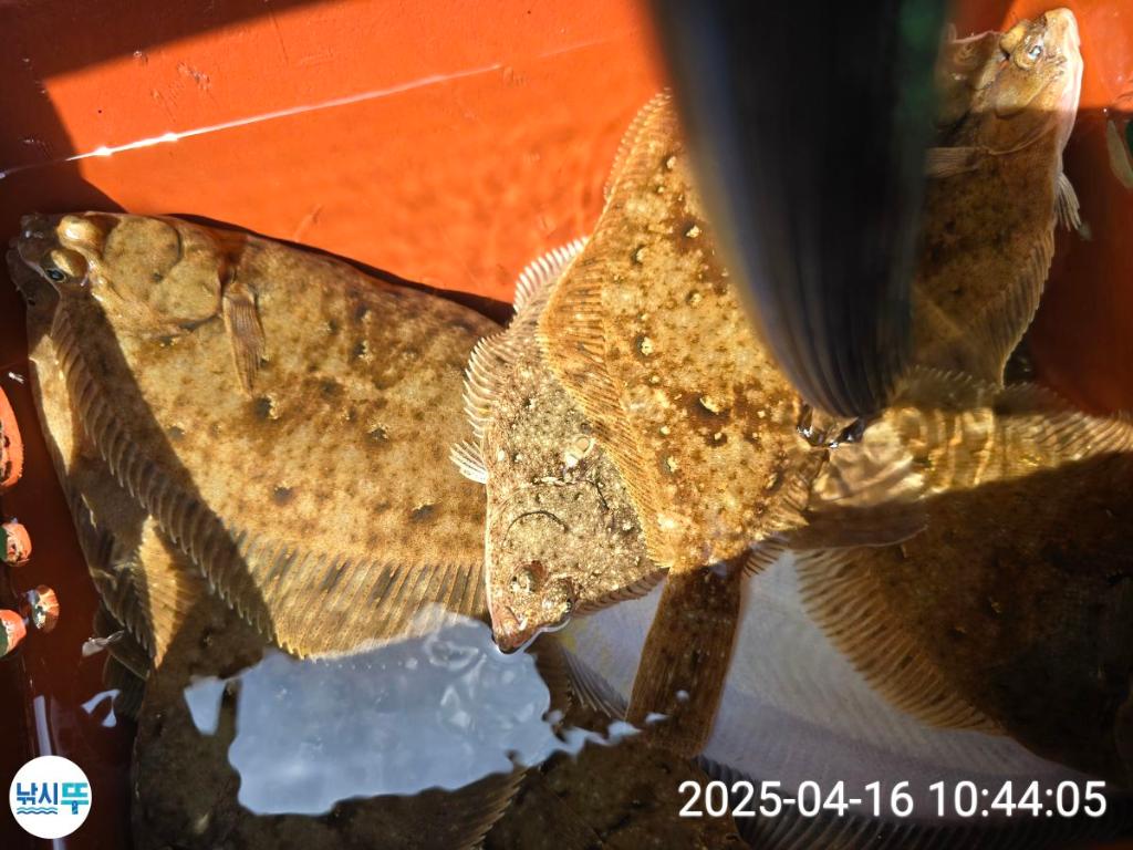 F2659262U7.jpg