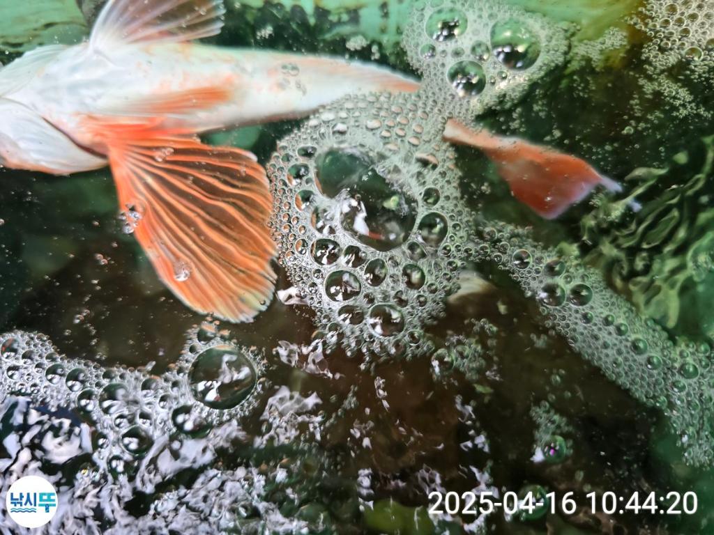 F26592645F.jpg