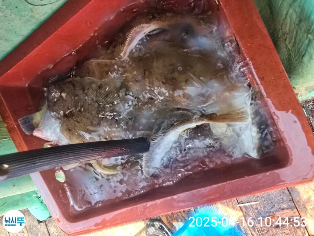 F2659268YS.jpg