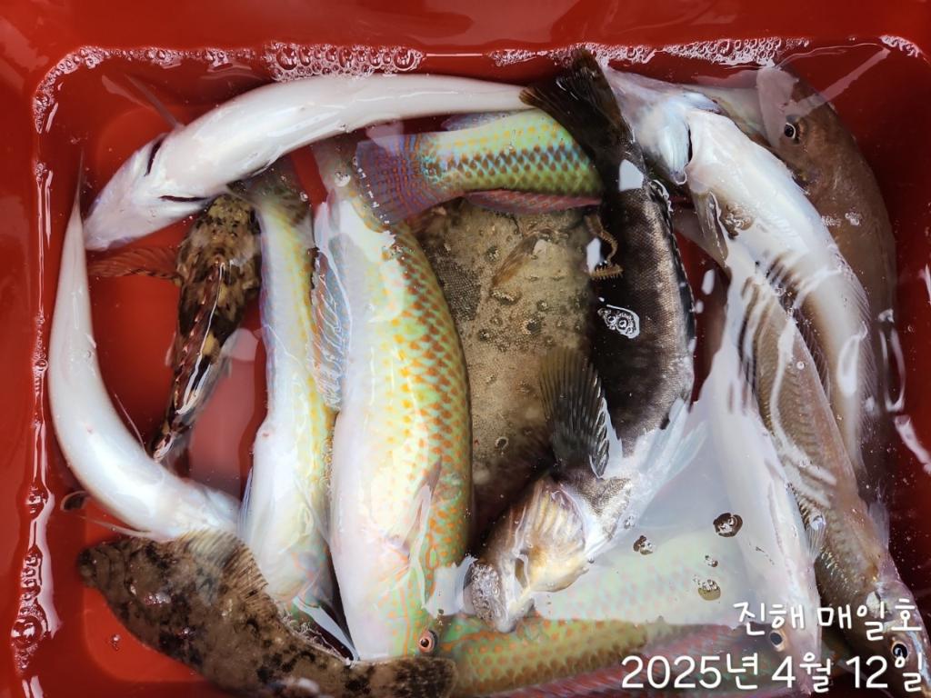 F2657735ZQ.jpg