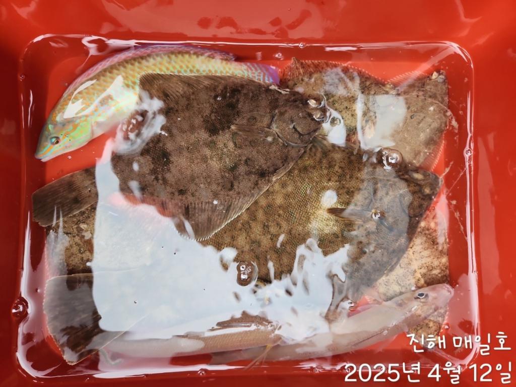 F2657736F1.jpg