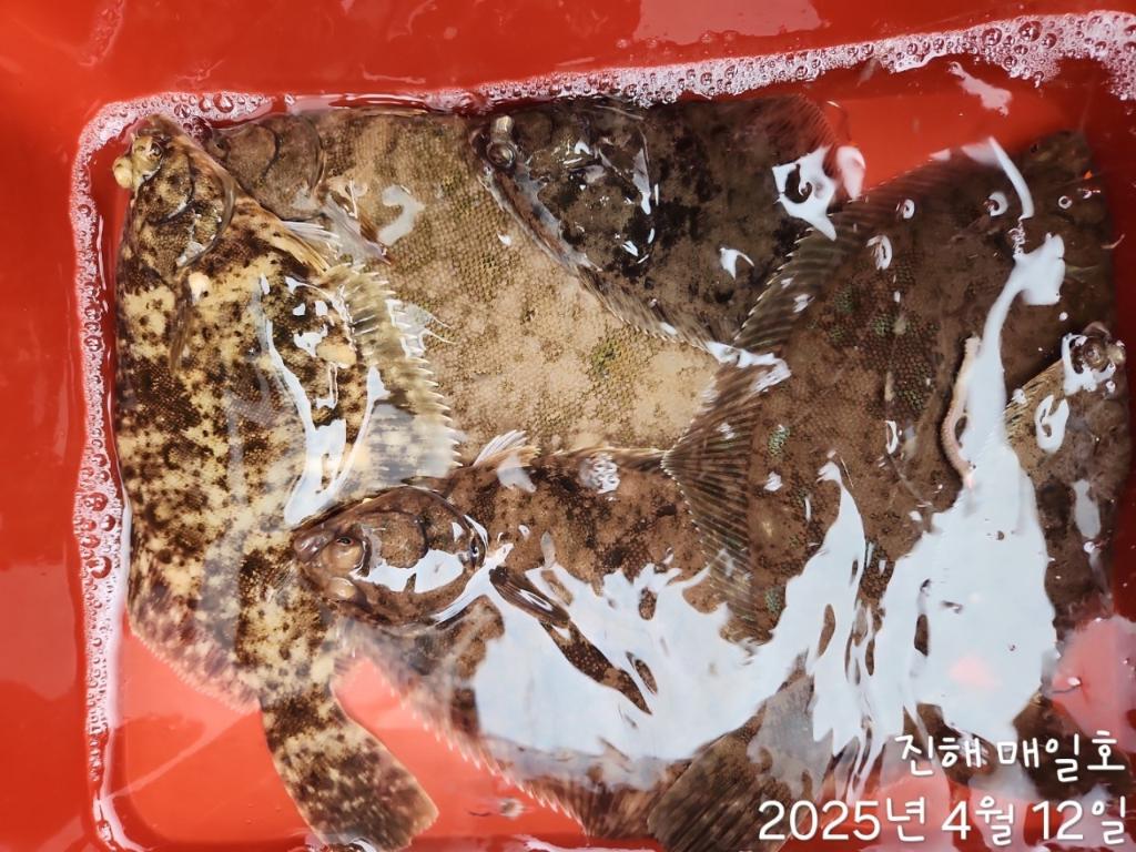 F2657737BB.jpg