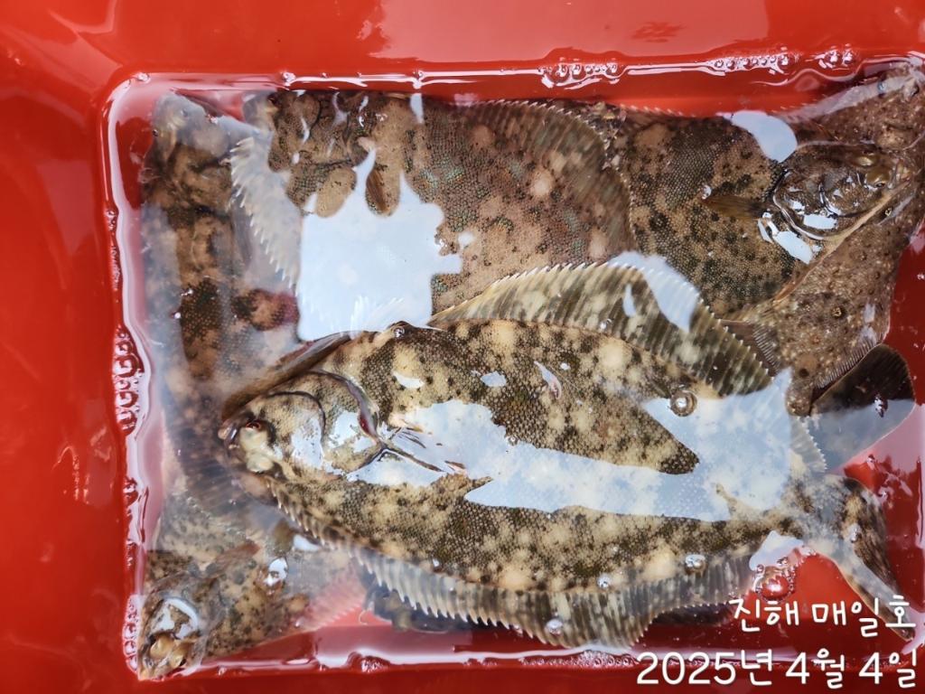 F26577965Z.jpg