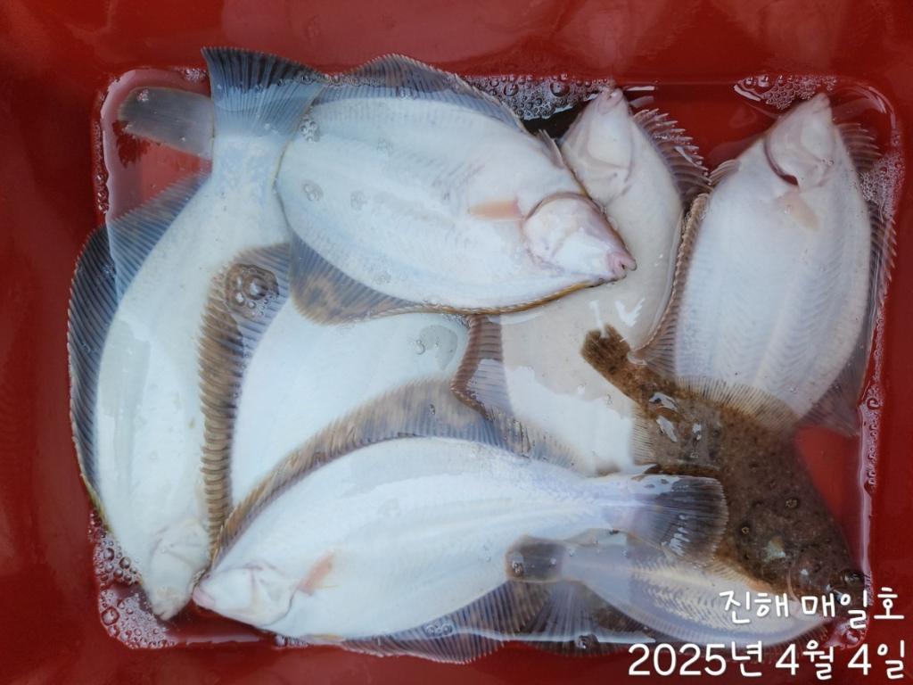 F26578039P.jpg