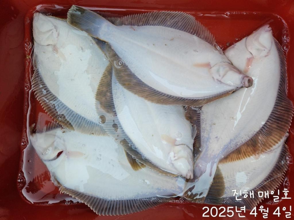 F2657807LQ.jpg