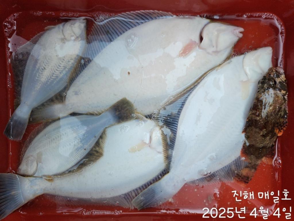 F2657811GN.jpg