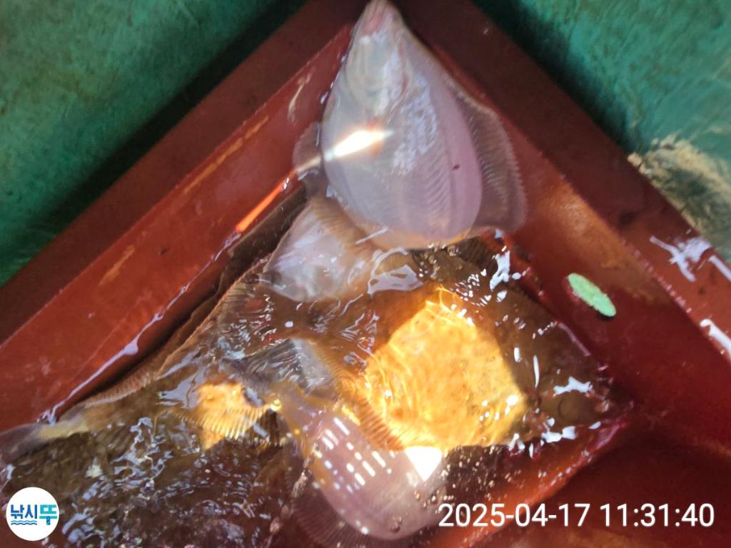 F2659800IT.jpg