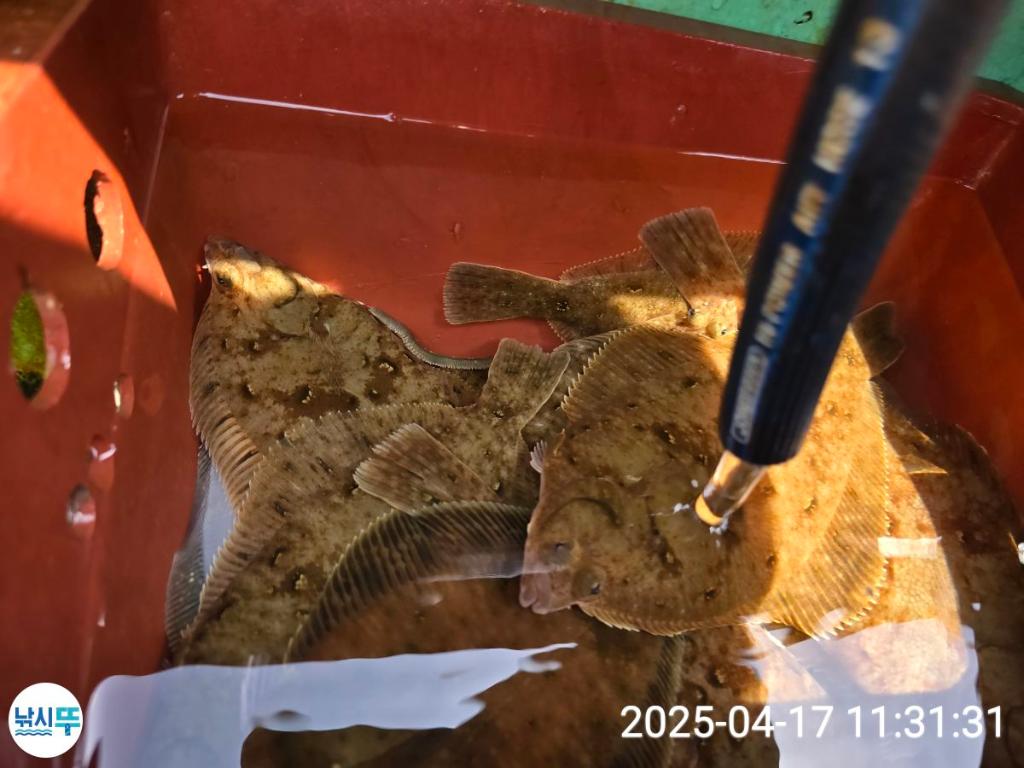 F26598028O.jpg