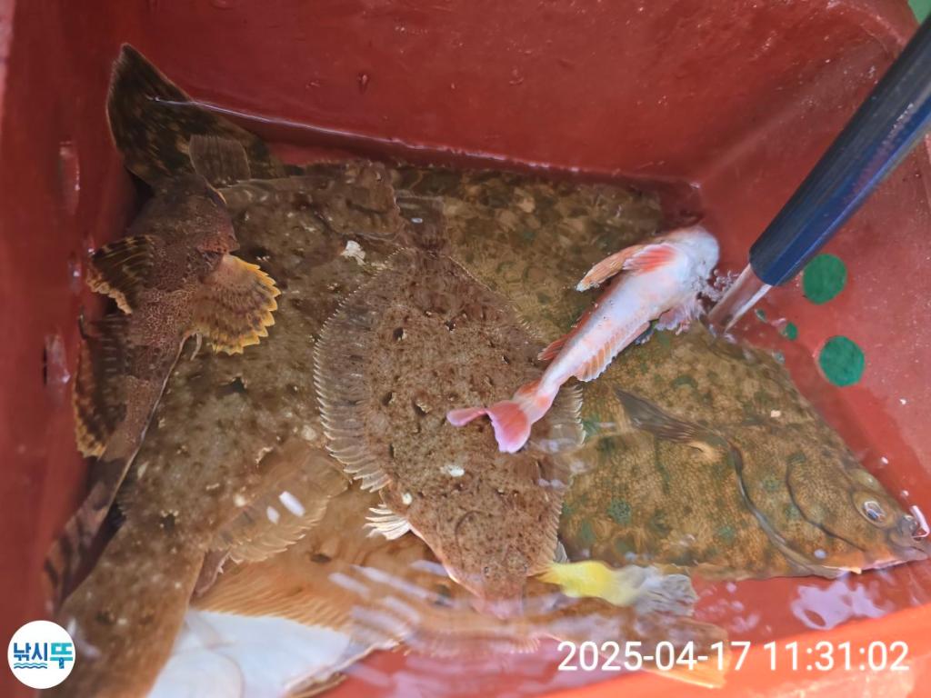 F26598096T.jpg