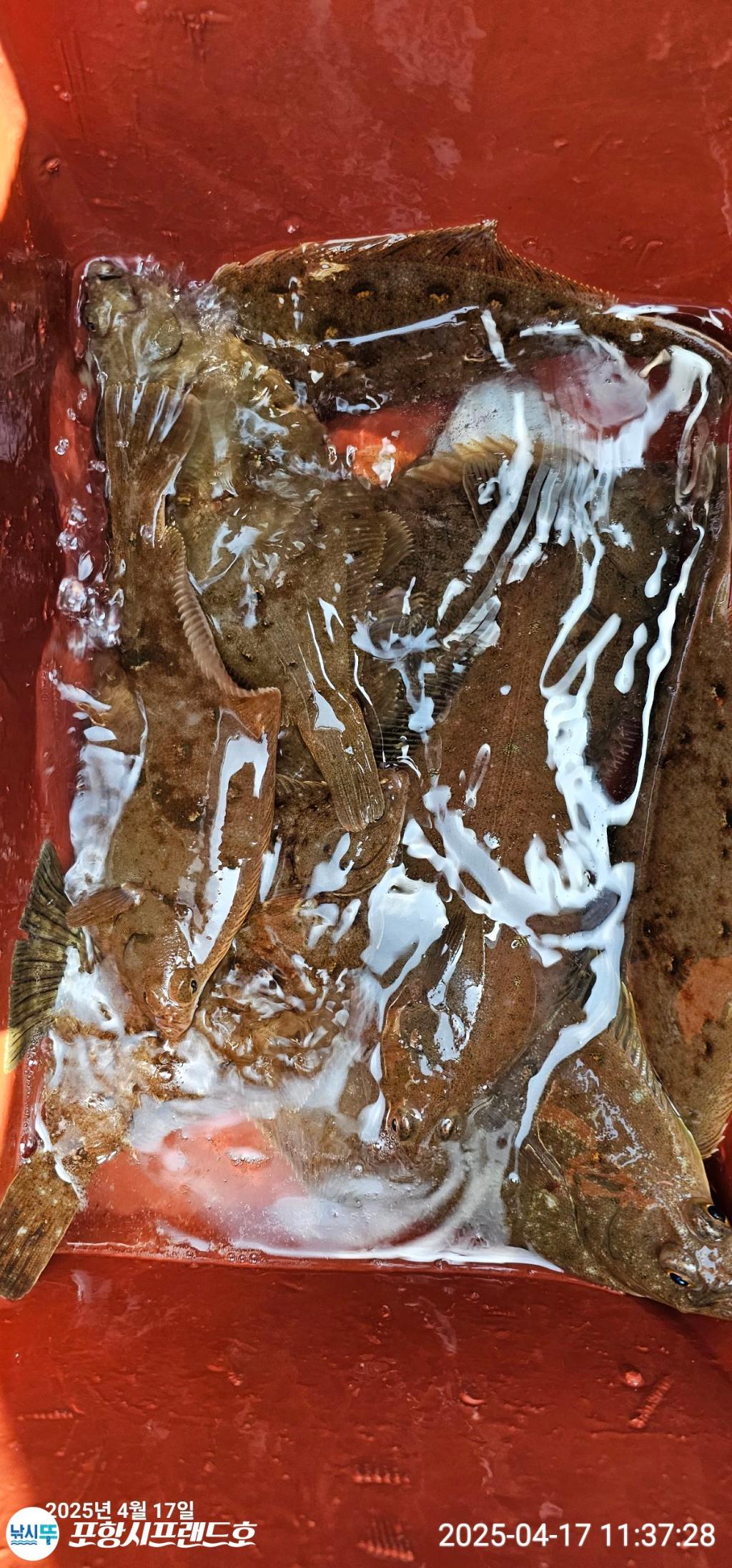 F26598494M.jpg