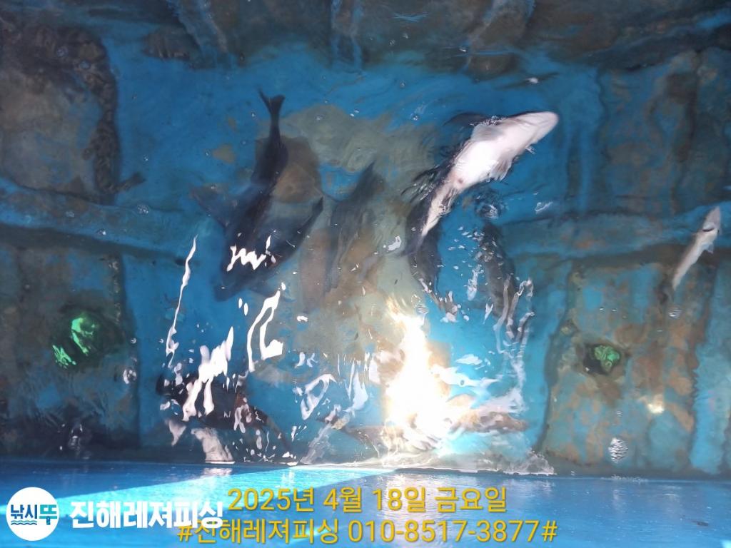 F2659883RB.jpg