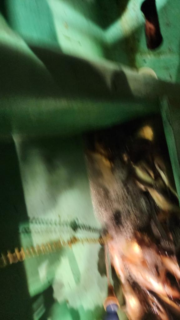 F2660051UF.jpg
