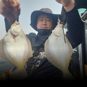 조황, 4-18(현상황)참가자미.도다리~마리수굿.월.화8시
