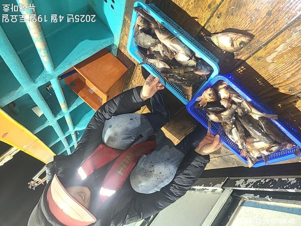 F266031767.jpg