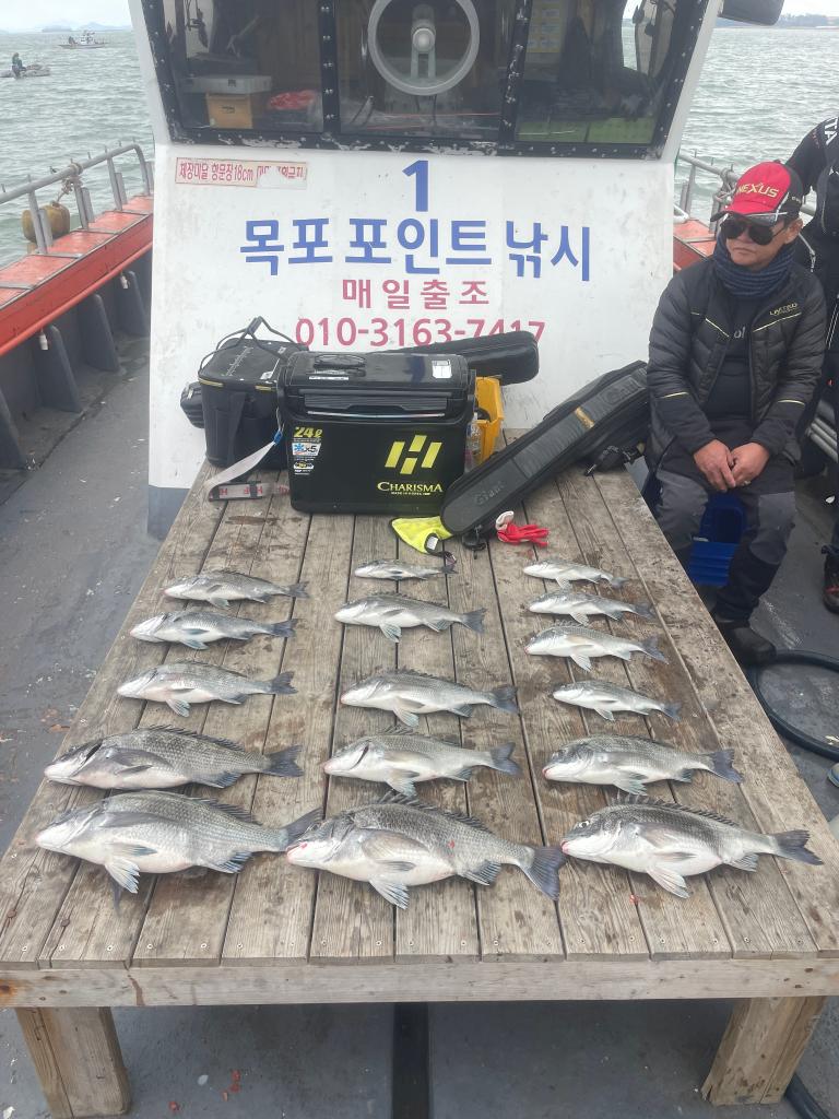 낚시뚜,,북항(목포),목포포인트낚시,낚시뚜0