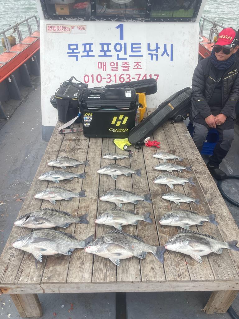 낚시뚜,,북항(목포),목포포인트낚시,낚시뚜1