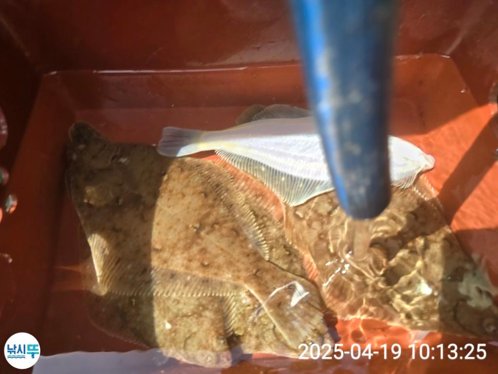 F2660452V5.jpg