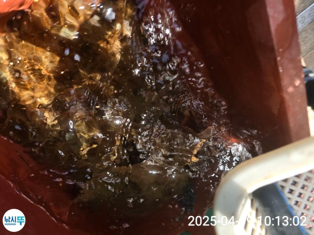 F26604572G.jpg