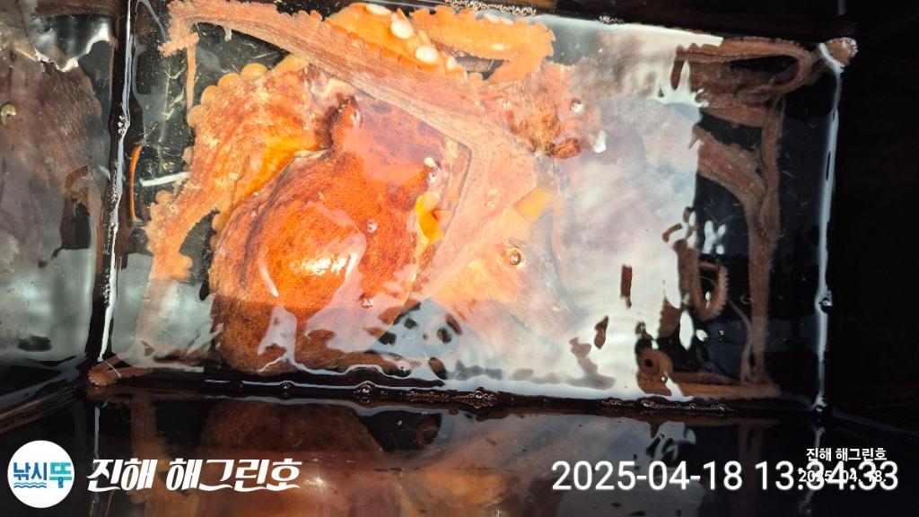 F266074293.jpg