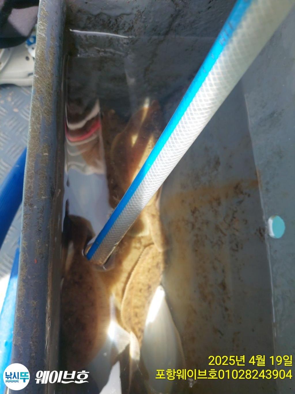 F2660901NE.jpg