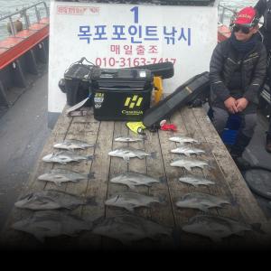 조황, [목포감성돔낚시] 18일 감성돔 조황입니다 목포포인트낚시