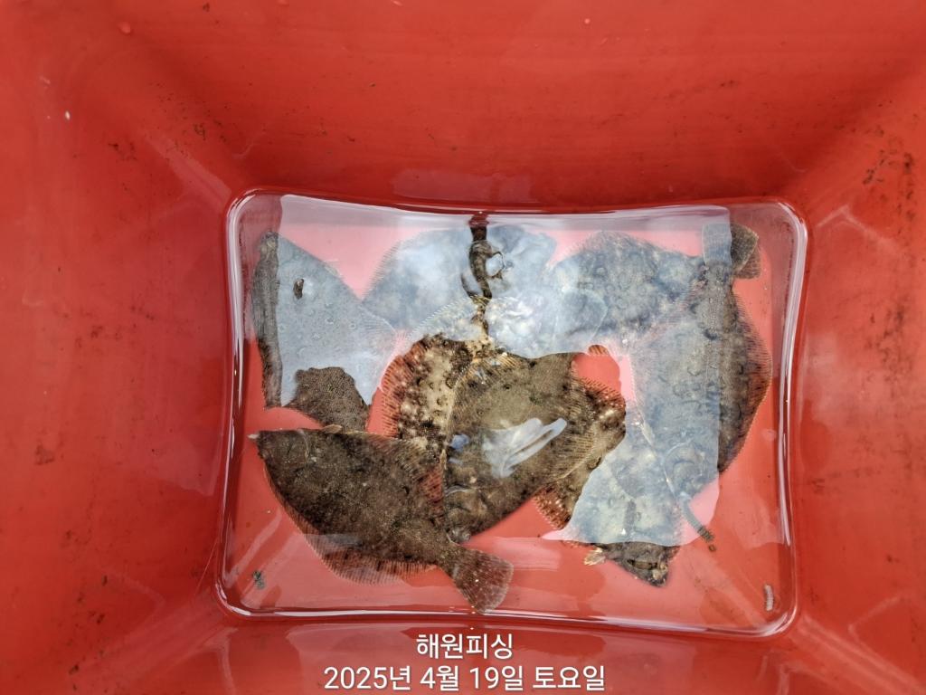 F2660663GD.jpg