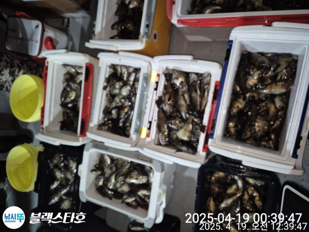 F2661189YL.jpg