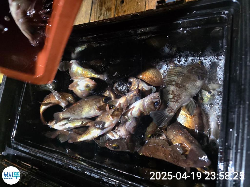 F2661281PB.jpg