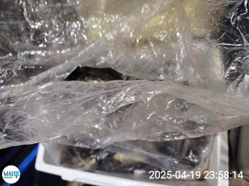 F2661284QX.jpg