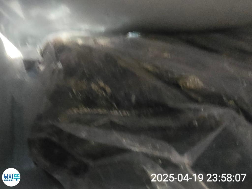 F266128551.jpg