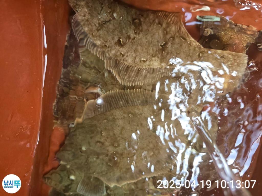 F26613389G.jpg