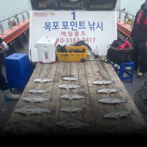 조황, [목포감성돔낚시] 20일 감성돔 조활 목포포인트낚시