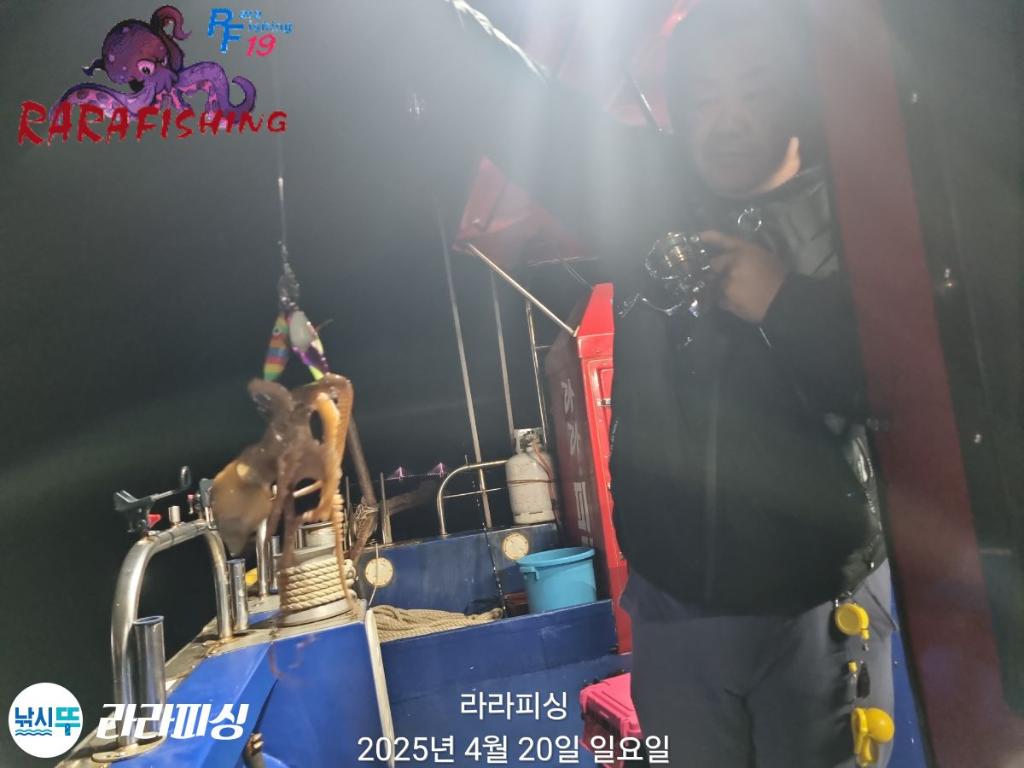 낚시뚜,낙지,속천항(진해),라라피싱,낚시뚜6