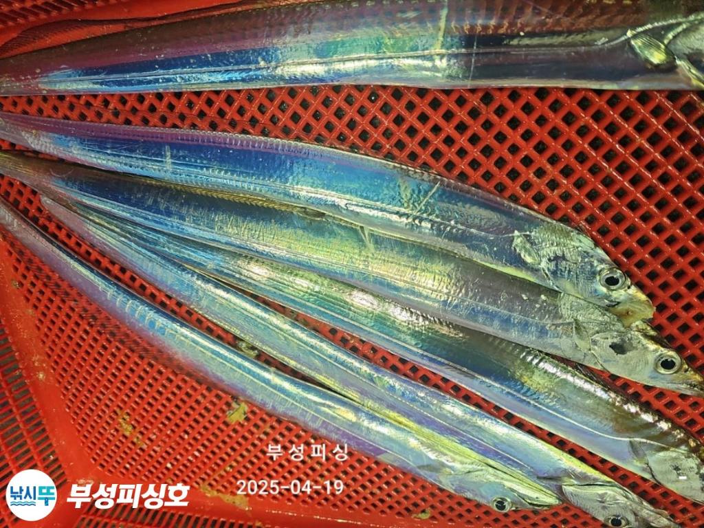 F2661218AP.jpg