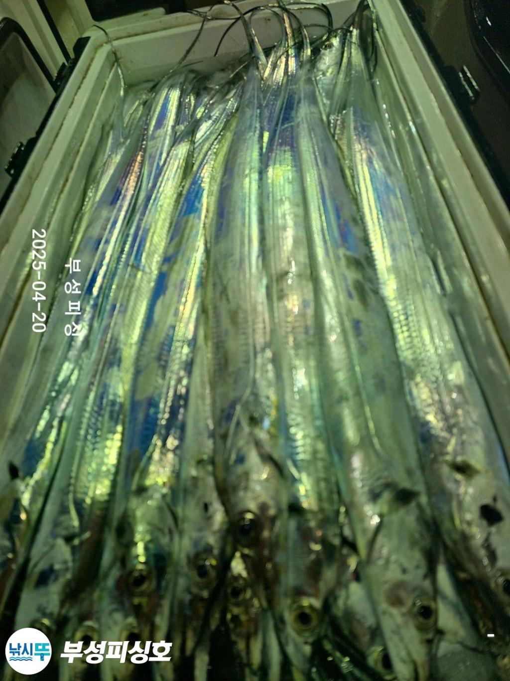 F26612206Y.jpg