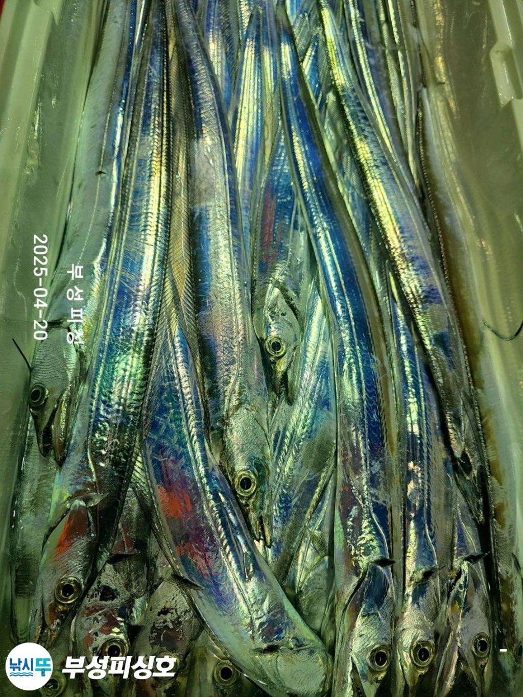 F2661222LB.jpg