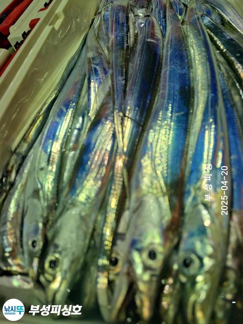 F26612234X.jpg