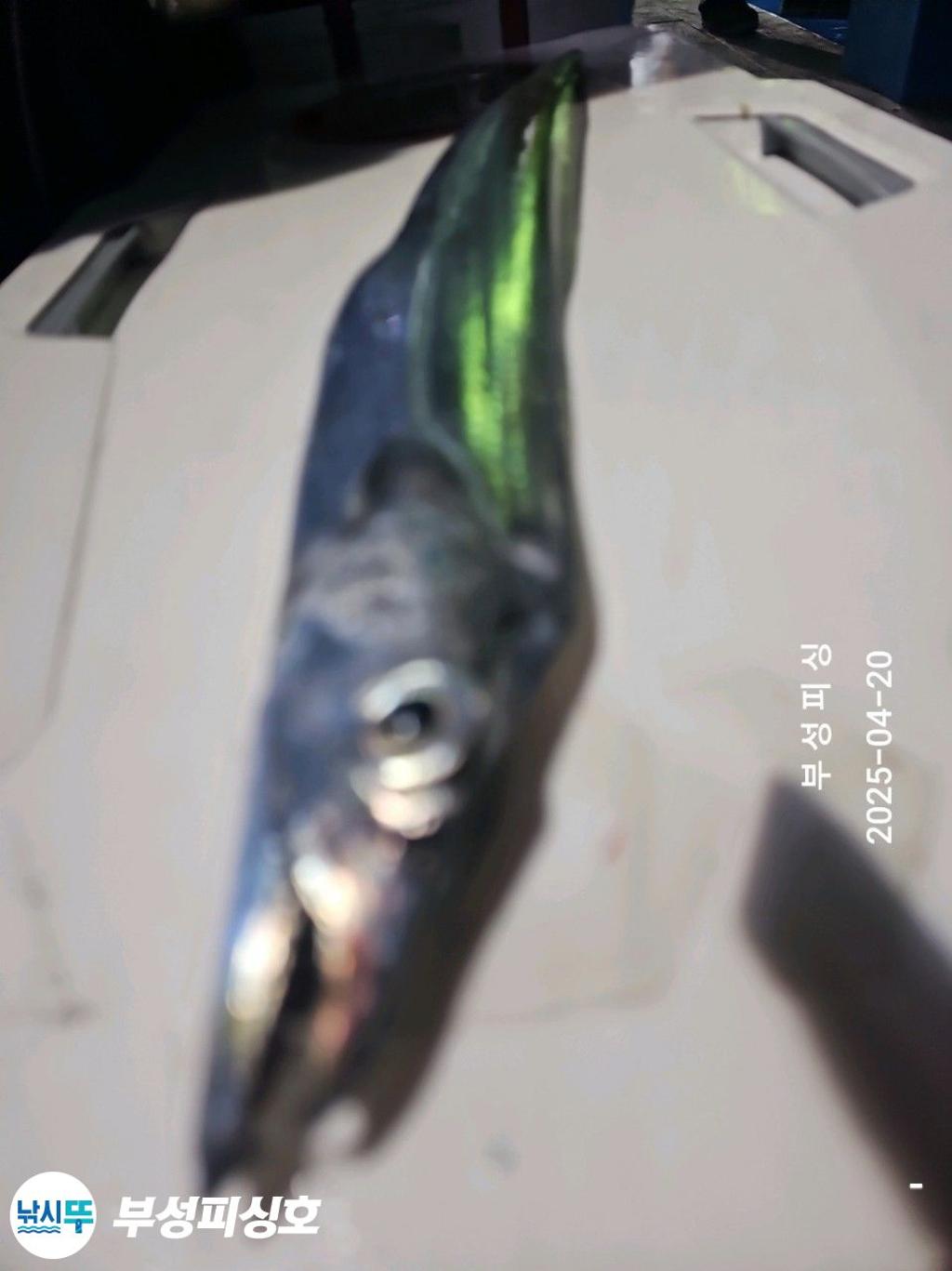 F26612428Y.jpg