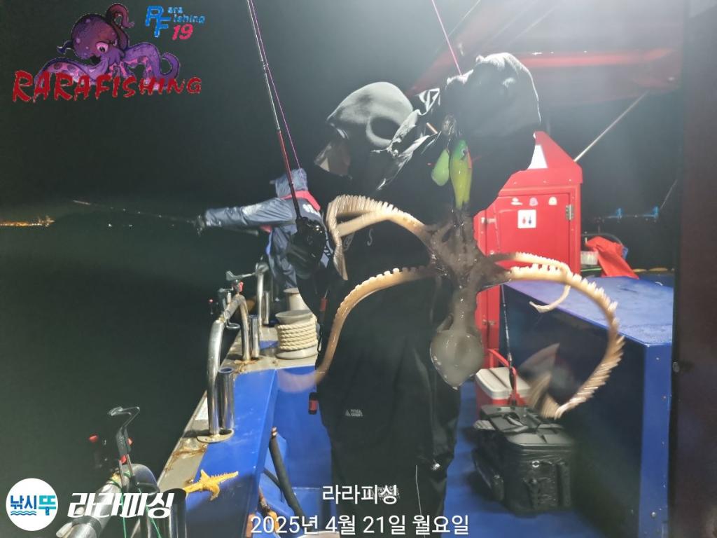 낚시뚜,낙지,속천항(진해),라라피싱,낚시뚜30
